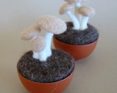 Tiny Wild Mushrooms Garden - Three  Mushrooms