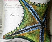 Cotton Pillow Cover....the starfish  Cotton and burlap pillows