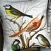 Cotton and Burlap Pillow Cover...Vintage Birds