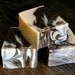 Bergamot and Cypress Wheat Ale Beer Soap