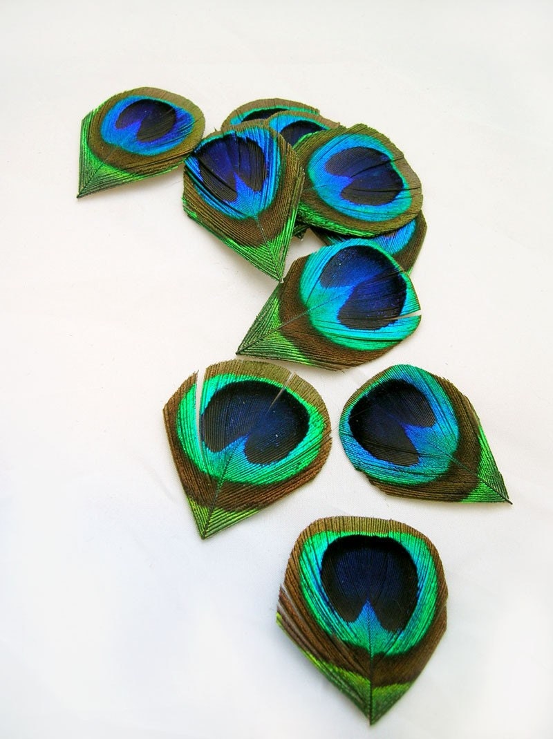 NATURAL Peacock Feather Eyes (Small)(12 PIECES) Trimmed and ready to be used for appliques, wedding invitations, earrings and fascinators
