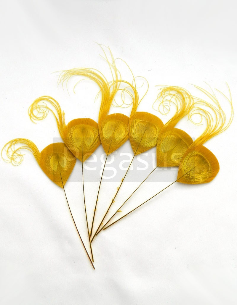 GOLDEN Yellow Peacock Feather Eye Picks  - trimmed and curled  - wedding invitations, boutonniere, fascinators (Golden Yellow)(6 PIECES)