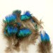 Small Blue and Green Peacock Scallop Plume Feathers for craft, headbands, hats and hair clips (12 PIECES)