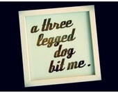 a three legged dog bit me