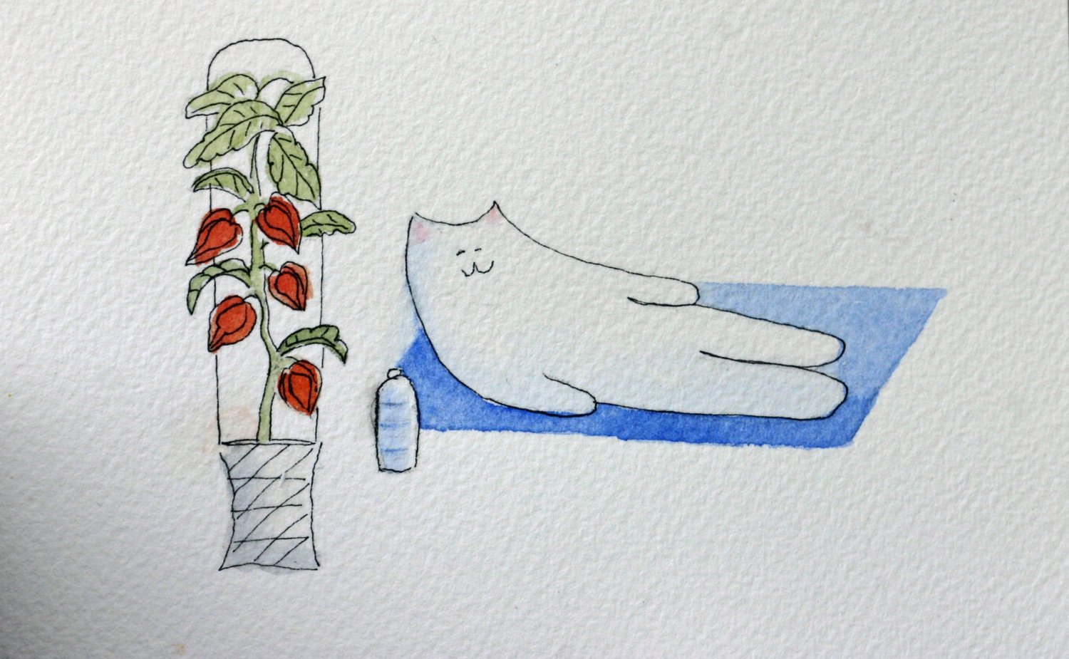 Feng Shui Cat - Original Watercolor, small art, Cat doing yoga, exercising, meditation, humorous, simple, whimsical