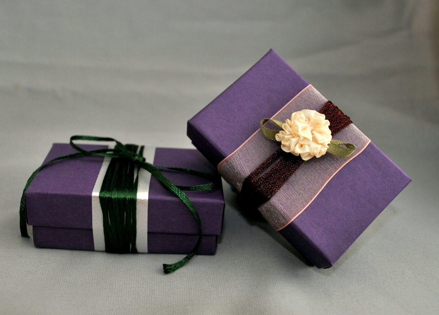 Courtesy Listing  - EXPEDITED SHIPPING