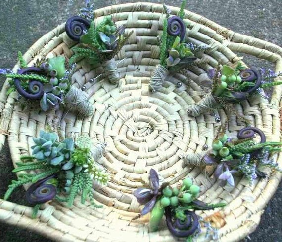 Succulent boutonniere