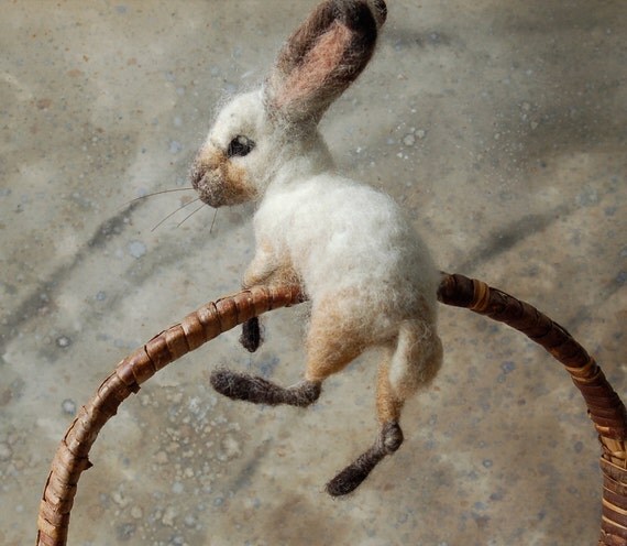 Basket Bunny Oatmeal