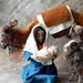 SALE: Nativity Camel Brown