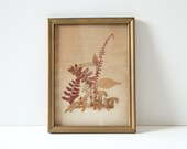 Fern and Fungi Framed Artwork