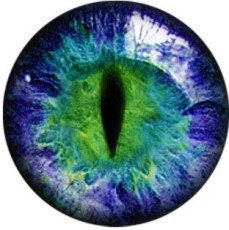Glass Eyes Dragon Taxidermy Blue Green Fantasy Eyes eye set of 2, 16mm Steampunk Jewelry and Pendant Making