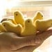 The Mini Duckling Duckie - Tiny Plush Toy Friend