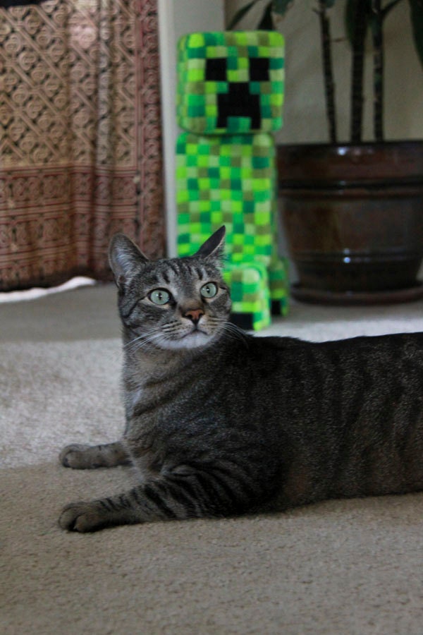 PDF DOWNLOAD Sewing Pattern Creeper Plush