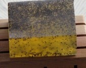 Limited Edition Lemon Poppy Seed Kitchen Hand Soap