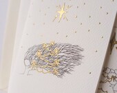 Merry Christmas Irish Language Christmas Card Set of 10