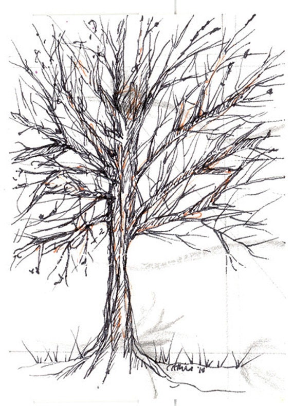 Tree Leaves Drawing