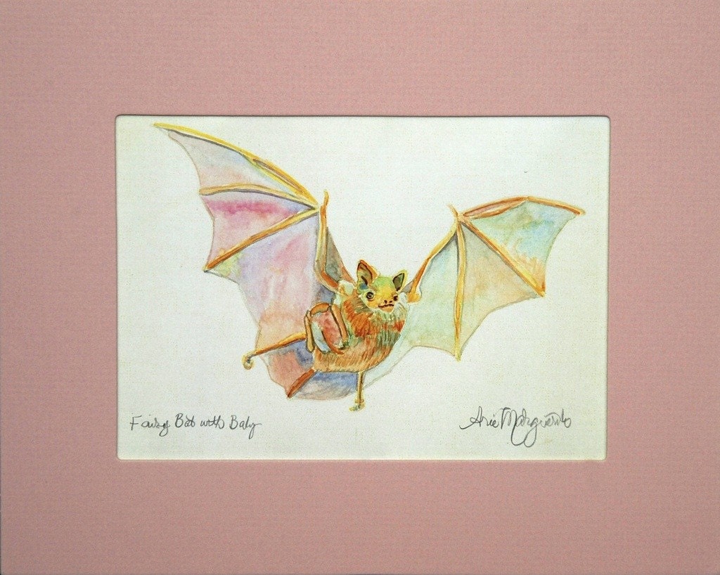 Fairy Bat