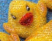 Rubber Ducky--8x10