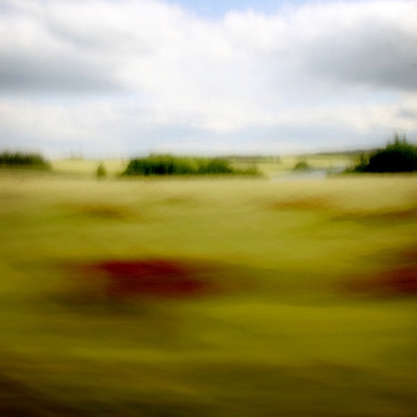 Limited edition 8 x 8 inch fine art Hahnemuhle photograph (landscape 018) chartreuse abstract woodland home decor