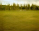 Limited edition 8 x 8 inch fine art Hahnemuhle photograph (landscape 015) olive green canadian woodland home decor