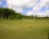 Limited edition 8 x 8 inch fine art Hahnemuhle photograph (landscape 045) abstract green countryside home decor