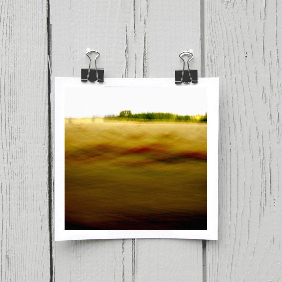 Open edition 5 x 5 inch fine art Hahnemuhle photograph (landscape 019) rustic yellow whimsical wall décor