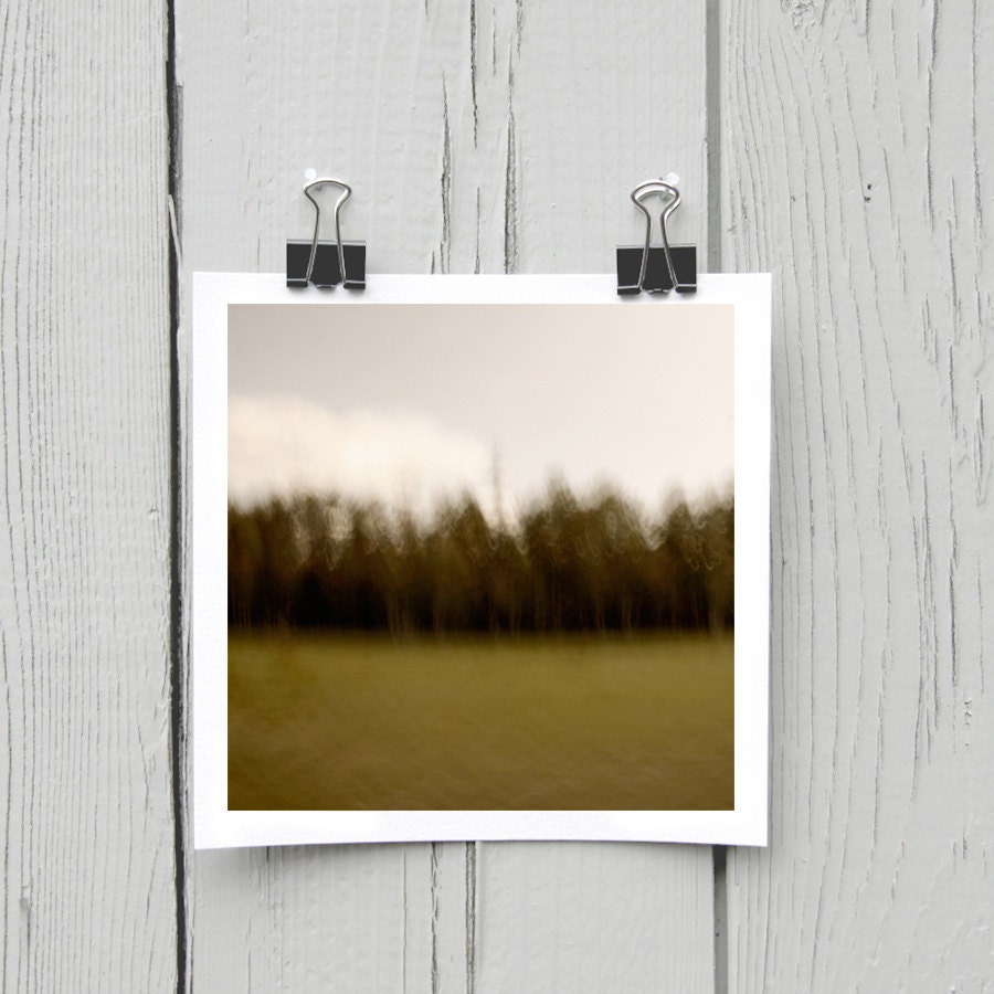 Open edition 5 x 5 inch fine art Hahnemuhle photograph (landscape 034) green canadian woodland home decor