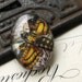25 x 18mm glass oval cabochon - handmade - Golden Butterfly