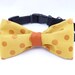 Pet Bow Tie / The "BubbaBow" Tie for Happy Pets Vietnamese Silk with Leather Accent / Ready to Ship
