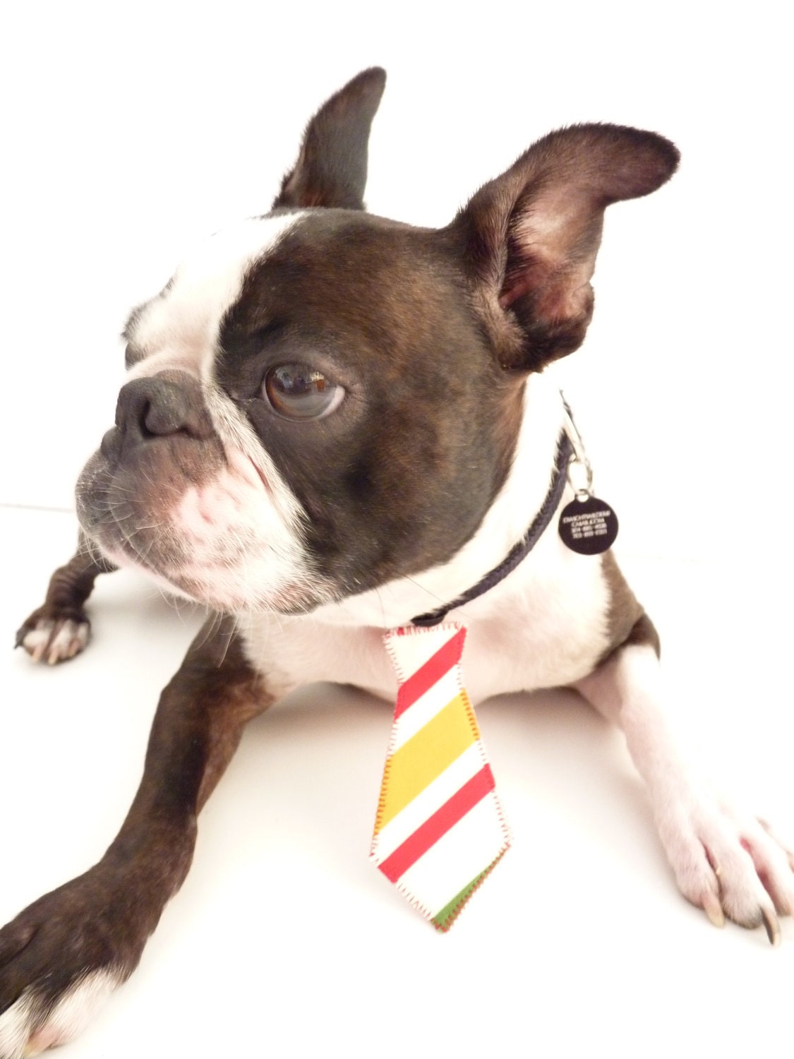 Groovy Vintage Pet Tie --The "Bubba Tie" for Happy Pets Vintage Stripes