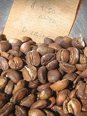 Brazil Fazenda Alto Paranaiba Estate Grade Decaf Swiss Water Processed 12 oz