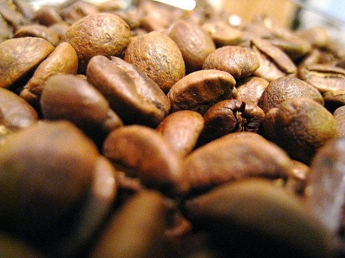 Jade Emu China Yunnan Roasted Coffee Sample 6 ounces