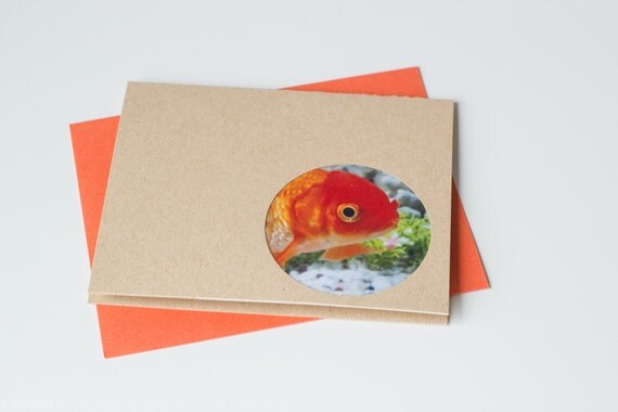 Goldfish photo card - blank
