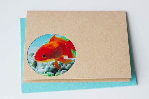 Goldfish photo card - blank