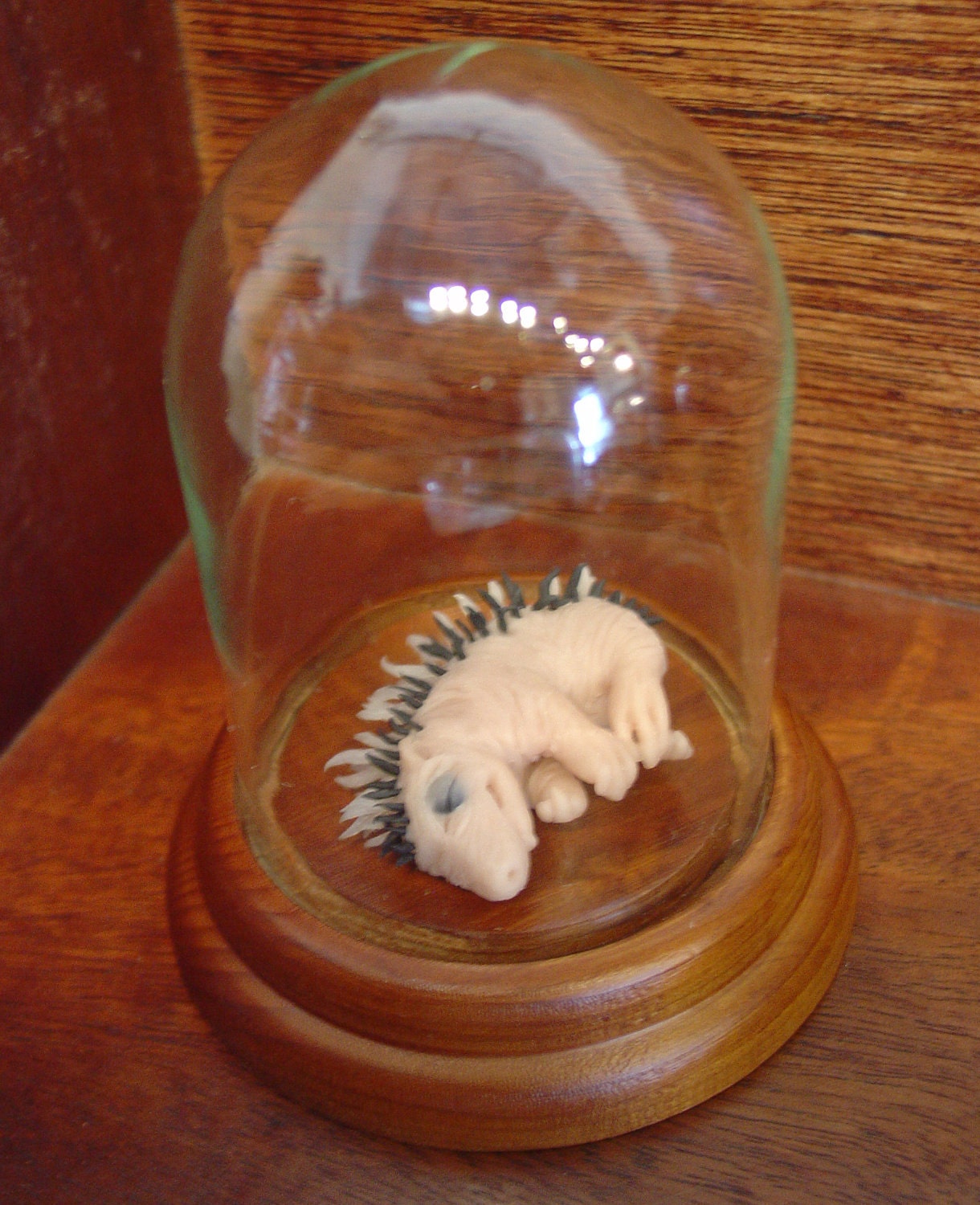 SALE.....Porcupine Pinky