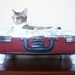 Upcycled Vintage Suitcase Pet Bed - Redish Orange Tweed - Black Handle with White Short Legs - Floral Pillow - Eco Earth Friendly