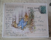 Peter Rabbit Birthday, Baby Shower Invitations - Custom Invitations - 20 invites