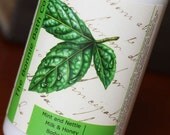 SALE 30% OFF Mint and Nettle Milk and Honey Body Lotion
