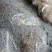 Felted capelet poncho wrap cap Fur  grey