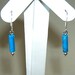 True blue earrings