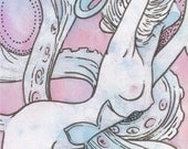 Collector Edition : Panel 14