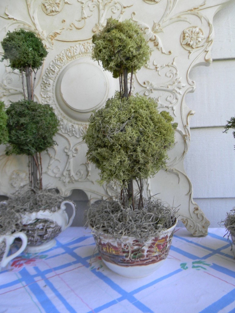 Reindeer Moss Double Ball  Topiary in Vintage Brown Polychrome English Transferware Waste / Cranberry Bowl