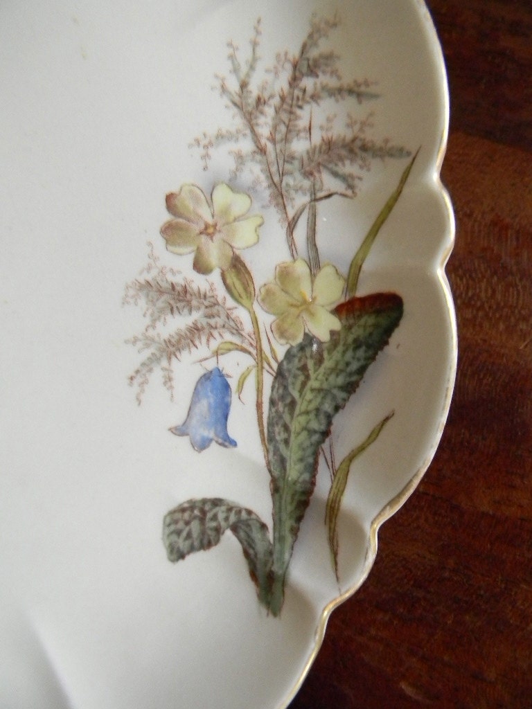 Circa 1887 Antique  English Brown Transferware Aesthetic Movement Floral Tazza Footed Compote George Jones Primroses