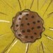 Burlap Sunflower