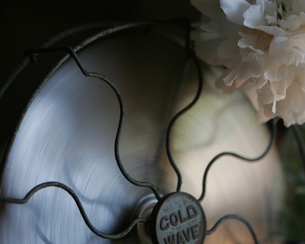 Still life with  Vintage Fan 11x14 Archival Photograph