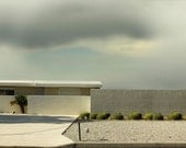 Architectural Photography Mid Century Home with Topiary Landscape