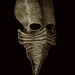 Excarnate Mask