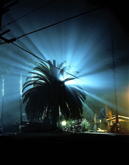 Untitled, Venice, CA, 8.5x11 Fine Art Print
