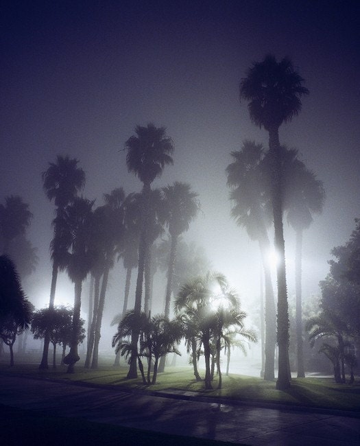 Santa Monica No. 8, 8.5x11 Fine Art Print