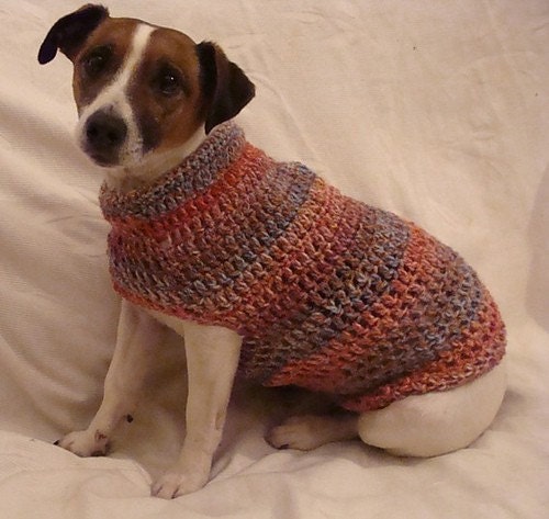 Crochet Pattern for Small Dog Coat Small Dog by CrotchetyCraft